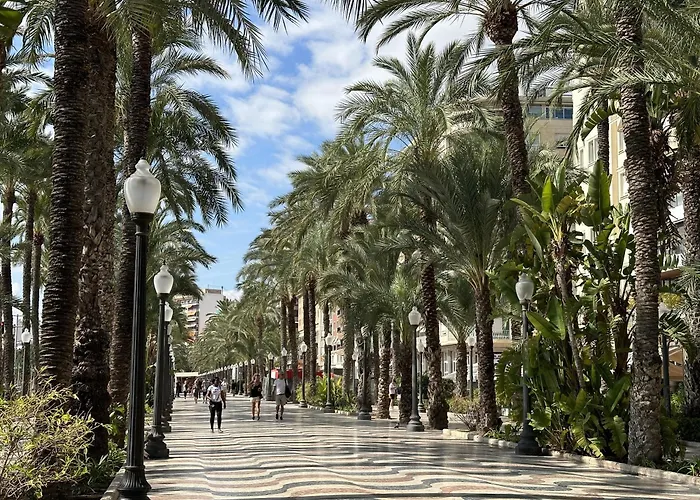 Luceros 310 New * Alicante